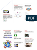 Triptico Del Medio Ambiente