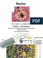 Sem 9 Nucleo y Cromosomas