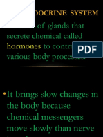 The Endocrine System: Consists of Glands That Secrete Chemical Called To Control Various Body Processes