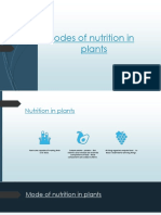 Modes of Nutrition in Plants
