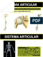Sistema articular