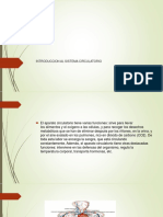 Sistema Circulatorio