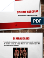 Musculos