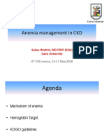 Anemia Management in CKD