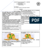 IESANFENE-PRUEBA OBJETIVA BIOLOGIA SEPTIMO 2019