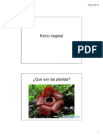 Diversidad de Plantas.pdf