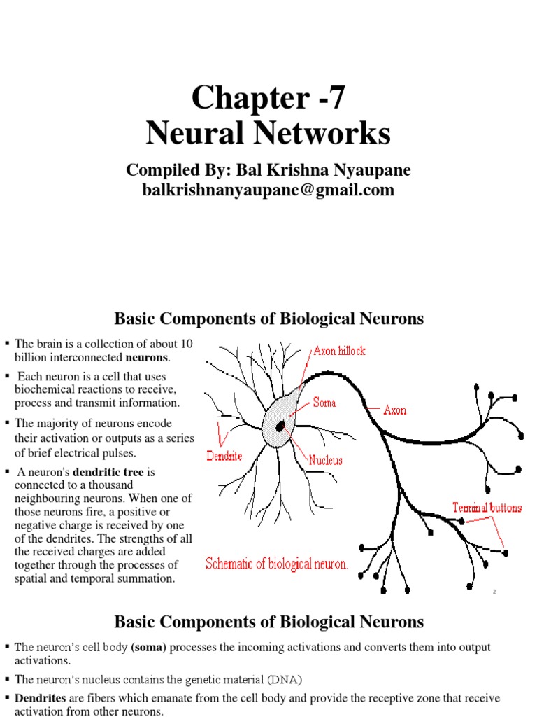 Understanding Neural Networks Basics | PDF | Artificial Neural Network ...