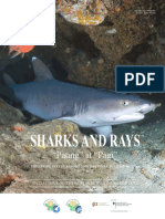 NPOA Sharks 2017-2022 PDF