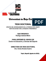 TESIS-DOCTORAL-Rodrigo-Damián-Merlo-oficial.pdf