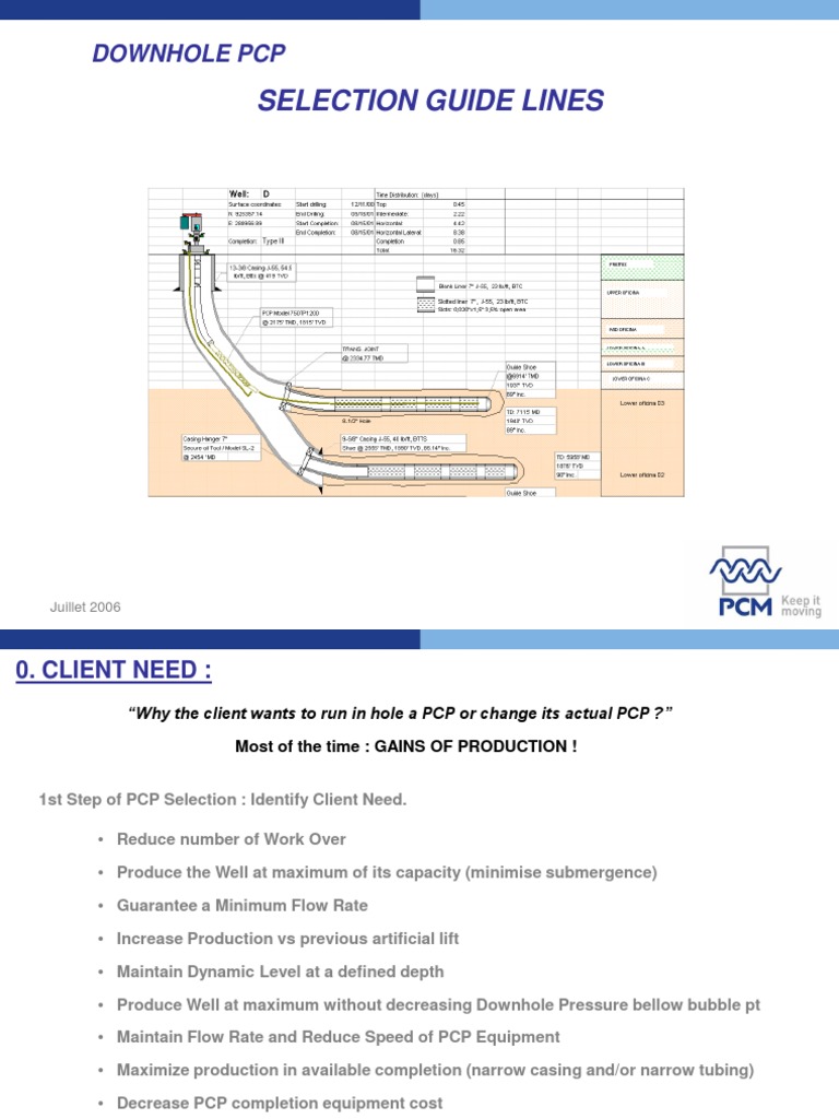 PCP Selection Guidelines for Enhanced Production | PDF | Electric Motor ...