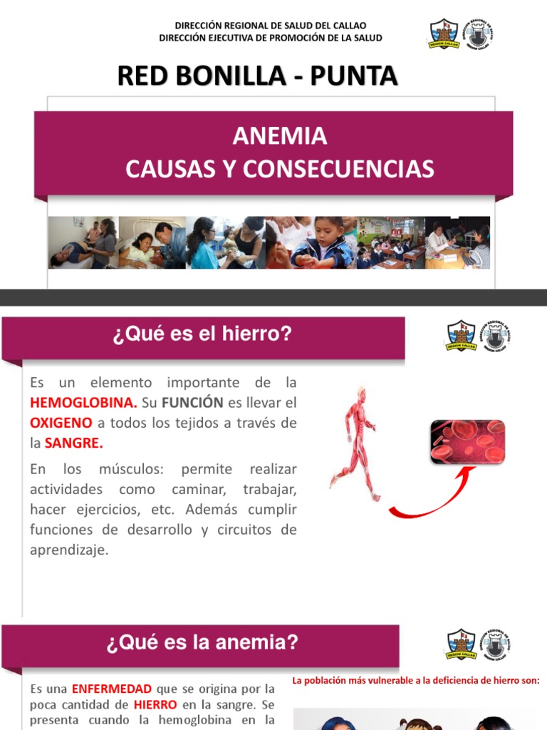 2. ANEMIA CAUSAS Y CONSECUENCIAS.ppt | Anemia | Hierro