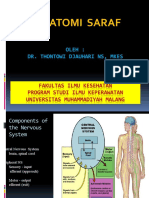 Saraf Anatomi - PPT Revisi 2