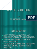 Acute Scrotum