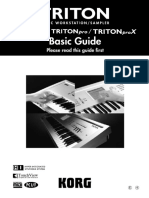 Triton BG E4 PDF