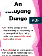 An Satuyang Dungo