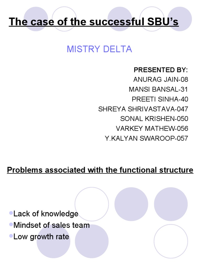 SBU Structure Analysis and Recommendations | PDF | Business | Public Sphere