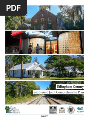 Effingham County Draft Comprehensive Plan