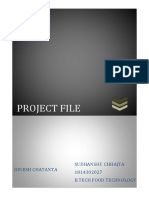 project file food process.docx