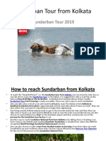 Sundarban Tour from Kolkata.pptx