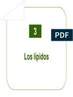 3 Lipidos