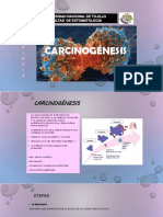 Carcinogenesis Grupo 3