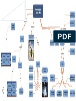 Mapa Conceitual_Sistemas de Apoio a Decisão BPM_Cap1