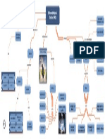 Mapa Conceitual_Sistemas de Apoio a Decisão BPM_Cap2 - Copia.pdf