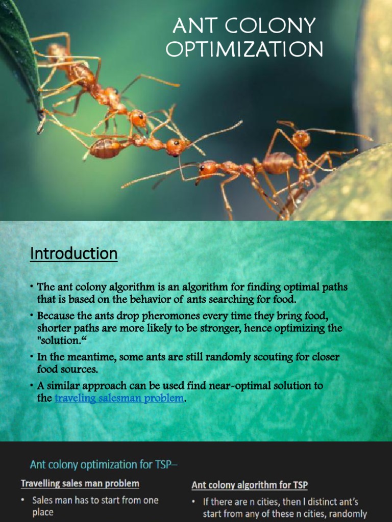 Ant Colony Optimization for TSP | PDF | Software Engineering | Computer ...