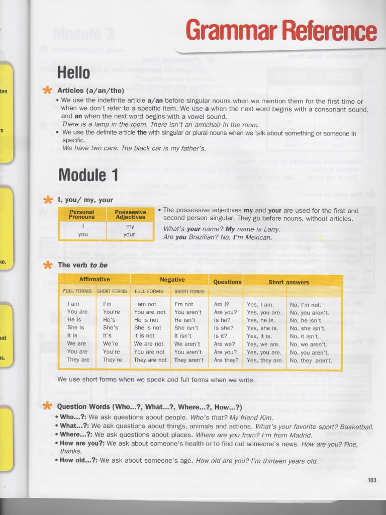 Grammar Guide for Beginners | PDF | Plural | Grammatical Number