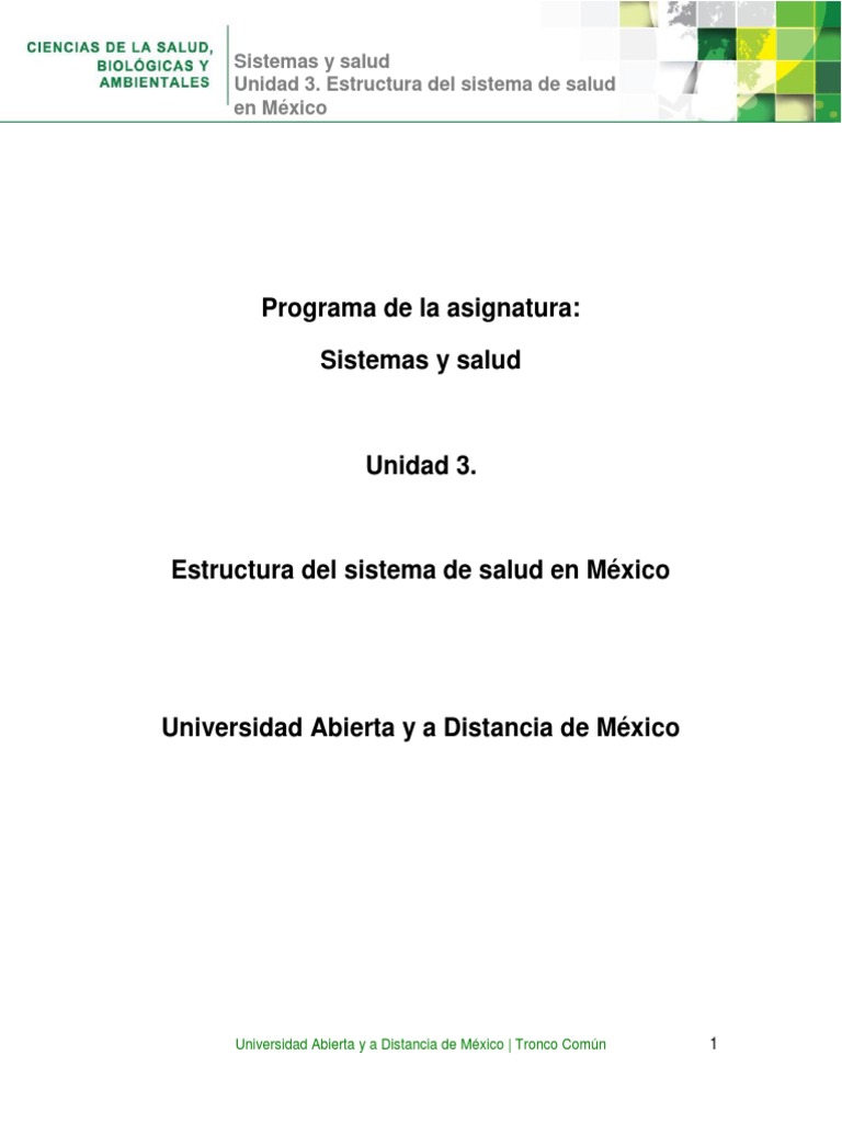 Estructura del Sistema de Salud en México | PDF | Hospital | México