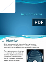 Slide M - Actinomicetos PDF