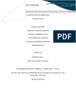 Investigacion de Mercados Trabajo Final PDF