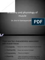 Anatomy and Physiology of Muscle: Dr. Dini Sri Damayanti, Mkes