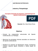 Anatomía y fisiopatología del aparato cardiovascular