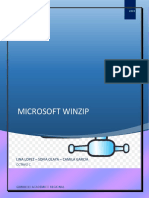 Microsoft Winzip