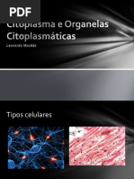 Citoplasma e Organelas Citoplasmáticas