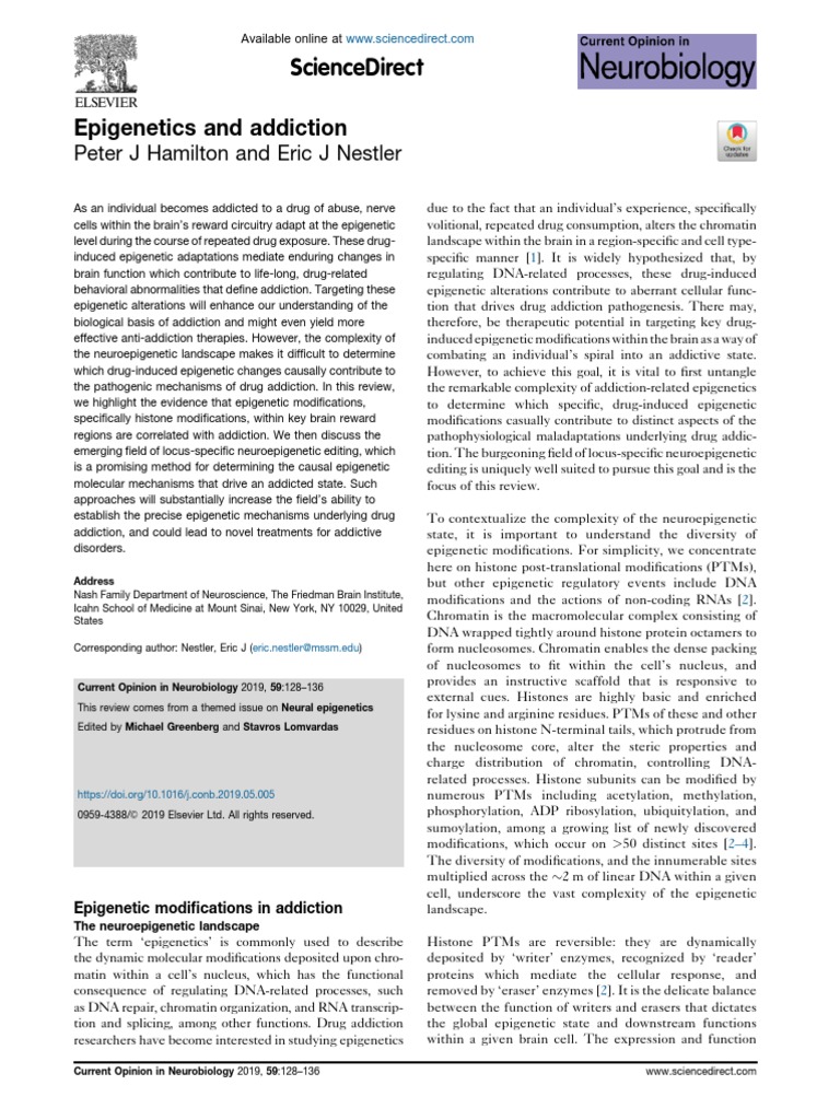 Epigenetics and Adicction | PDF | Regulation Of Gene Expression | Histone