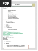 BACTÉRIAS Original