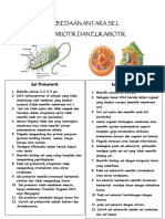 Perbedaan Antara Sel Prokariotik Dan Eukariotik