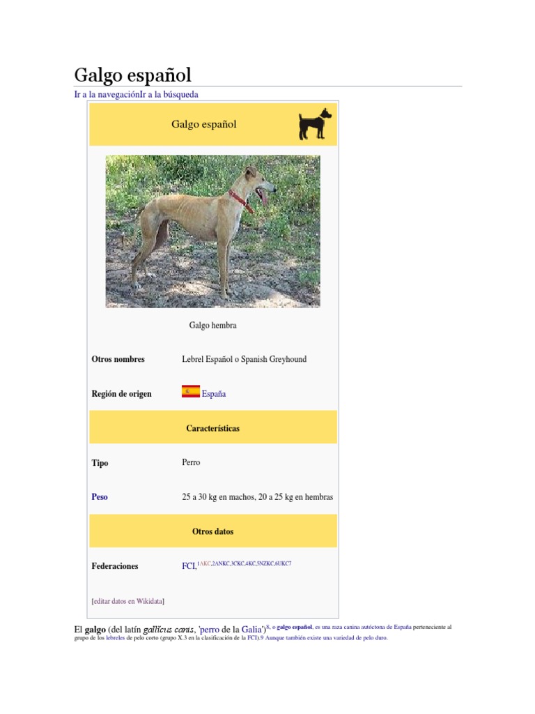 galgo-pdf-cr-a-de-animales-razas-de-perros