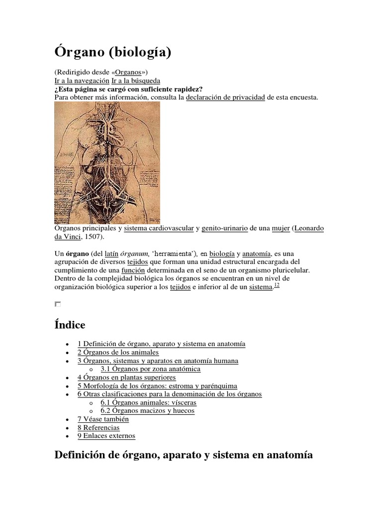 Órgano | PDF | Órgano (anatomía) | Fisiología