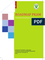 Roadmap Pkam PDF
