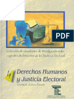 DD. HH y Justicia Electoral