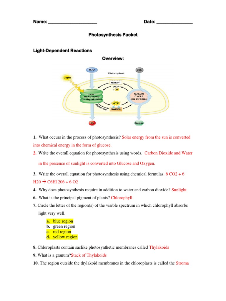 Photosynthesis Worksheet Version 2 Short 2018 Key Photosynthesis Chloroplast