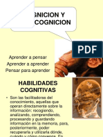 Cognicion y Metacognicon