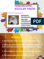 Science Presentation (Streocopic and Monocular Vision)