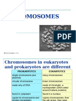 Chromosomes