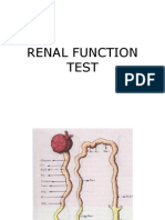 Renal Function Test