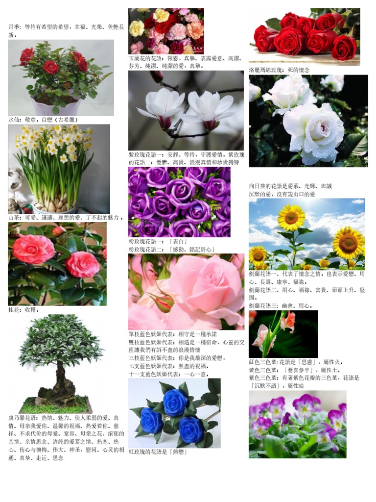花語