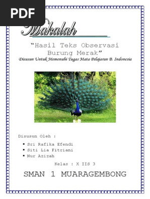 Hasil Teks Observasi Burung Merak Docx
